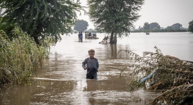 The Heavy Climate Burden On Women - Why Climate Change Isn’t Gender Neutral