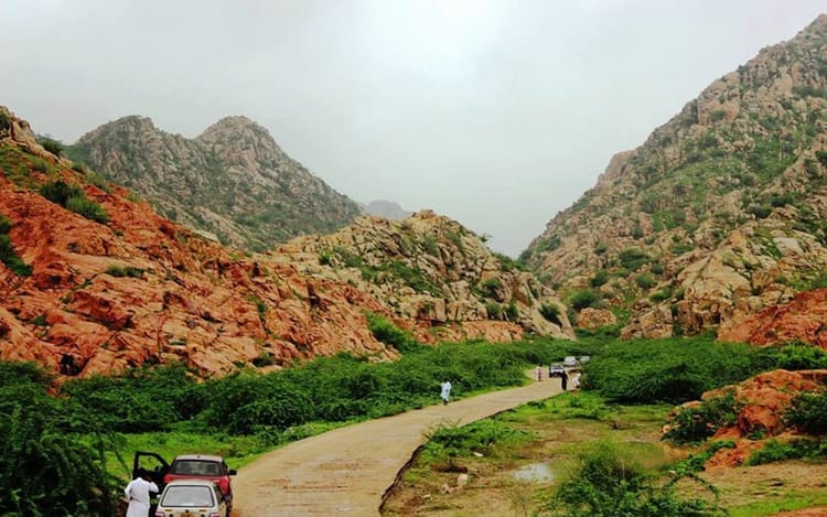 Empowering Sindhi Voices Against Environmental Exploitation